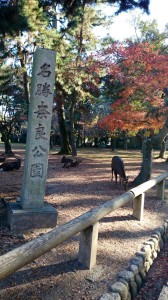Nara Park 27-1-8